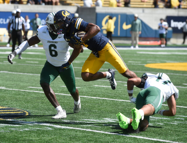 Cal-Bear-Chase-Hendricks-fights-for-extra-yards-during-Cal's-49-7-win-over-Wagner-Saturday.-Hendricks-led-Cal-with-9-catches-good-for-98-yards-in-the-game.